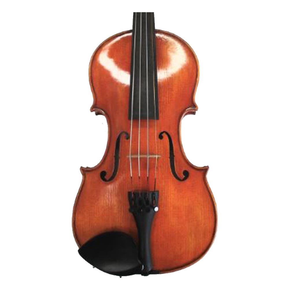 Raggetti RV10 4-4 Violin