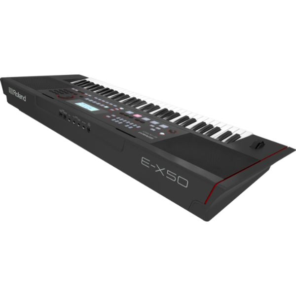 Roland E-X50 Arranger Keyboard (Rear Left)