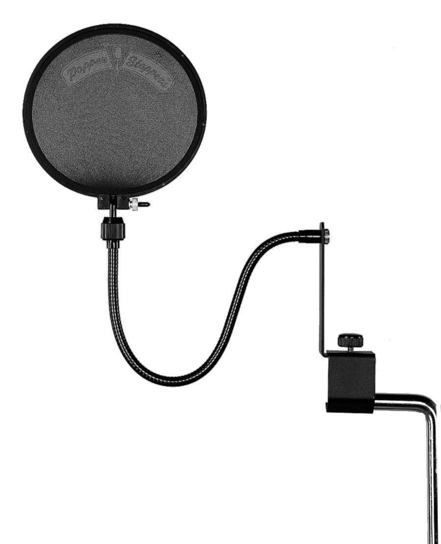 Shure PS6