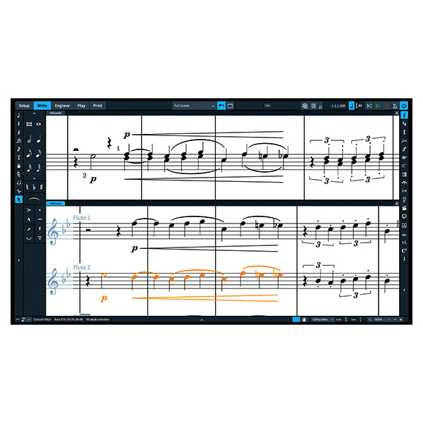 Steinberg Dorico Elements (Latest Version)