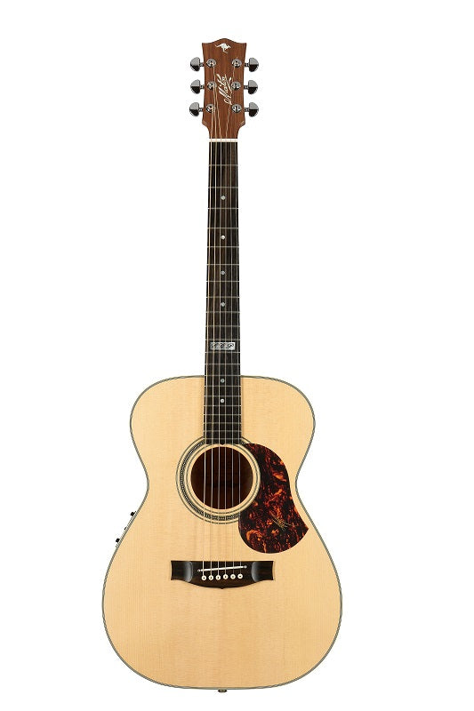 Maton EBG808 TE | Turramurra Music