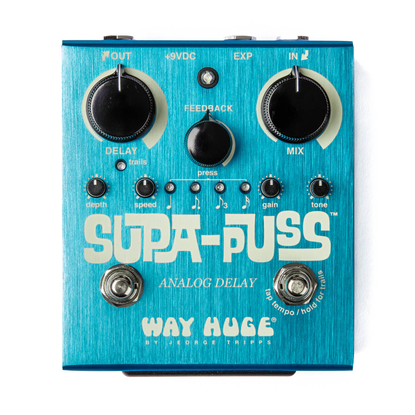 Way Huge Supa-Puss Analog Delay